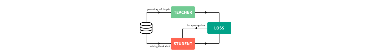 Knowledge distillation